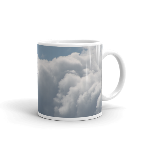 http://paraddix.com/cdn/shop/products/Bird-Soaring-mockup_Handle-on-Right_11oz.png?v=1613193979